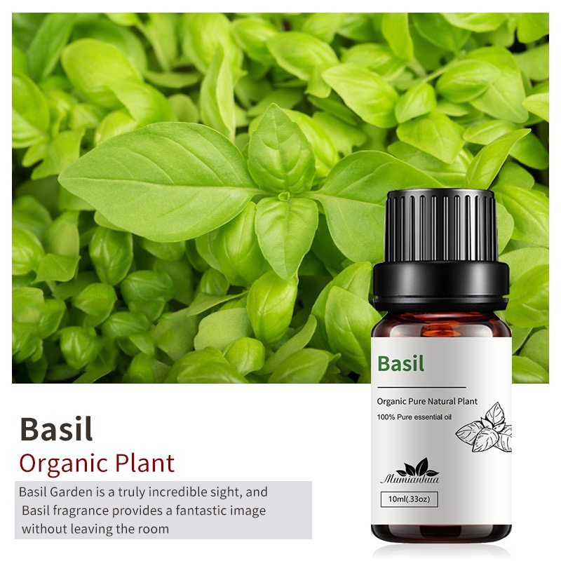 Basil Pine Vitality Essential Oils