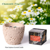 Lavender Chamomile Scented Candle